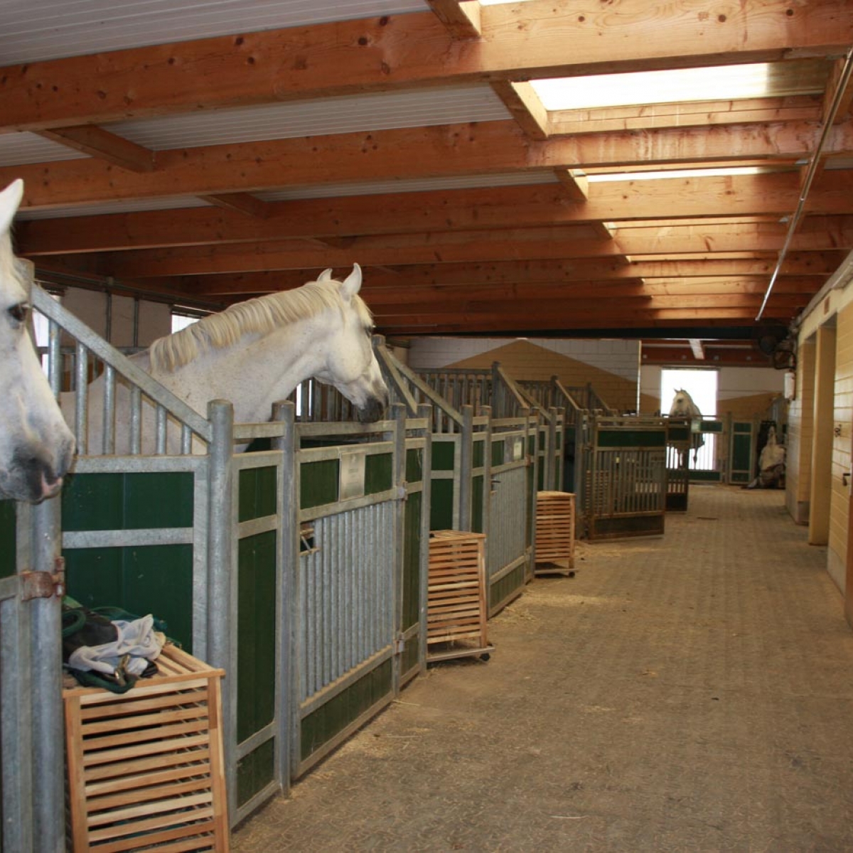 Ausstattung - Hirtenhof